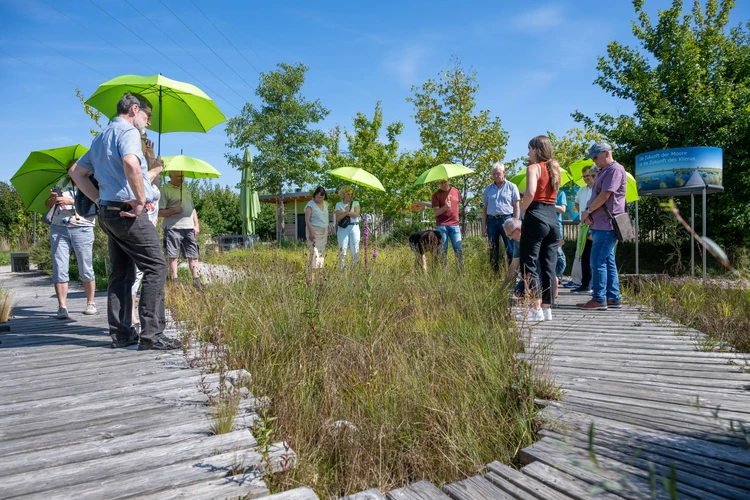 Gruppe bei F&uuml;hrung durch den Themenpark.